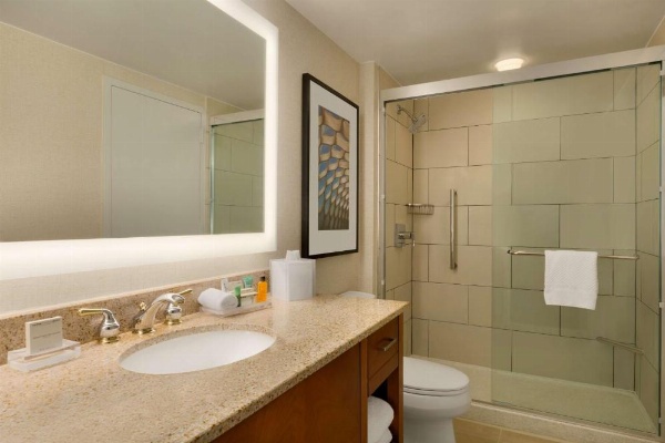 Hilton Chicago/Magnificent Mile Suites image 20